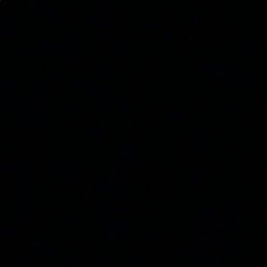 Meet your Posher, Savanna